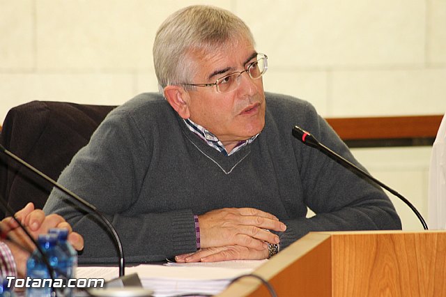 Pleno ordinario Diciembre 2012 - 24