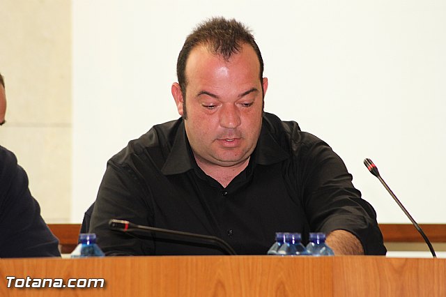 Pleno ordinario Diciembre 2012 - 29