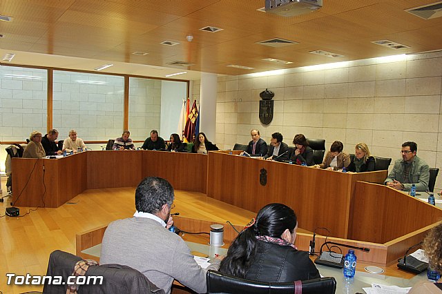 Pleno ordinario diciembre 2013 - 1