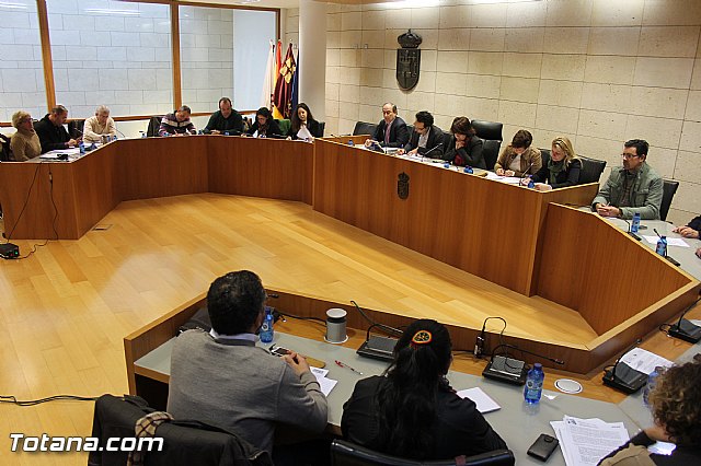 Pleno ordinario diciembre 2013 - 2