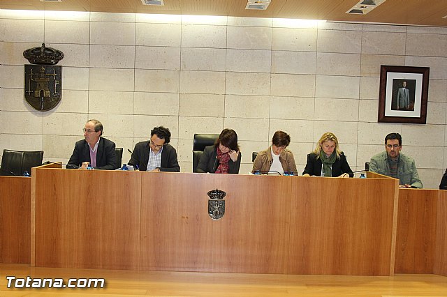 Pleno ordinario diciembre 2013 - 4