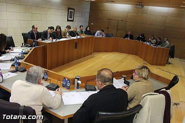 Pleno ordinario diciembre 2013 - 7