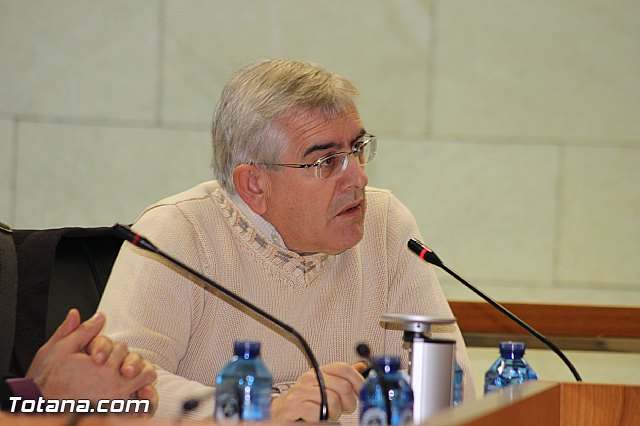 Pleno ordinario diciembre 2013 - 9