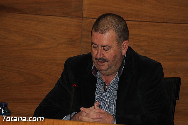 Pleno ordinario diciembre 2013 - 10