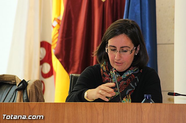 Pleno ordinario diciembre 2013 - 24