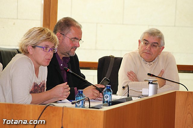 Pleno ordinario diciembre 2013 - 25