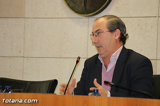 Pleno ordinario diciembre 2013 - 29