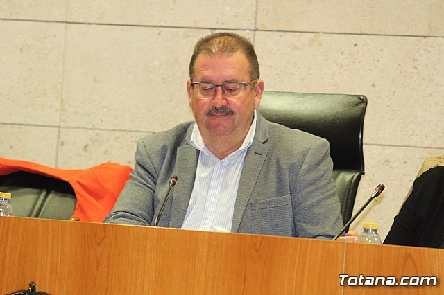 Pleno ordinario Diciembre 2018 - 9
