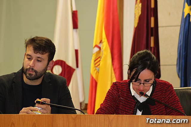 Pleno ordinario Diciembre 2018 - 11