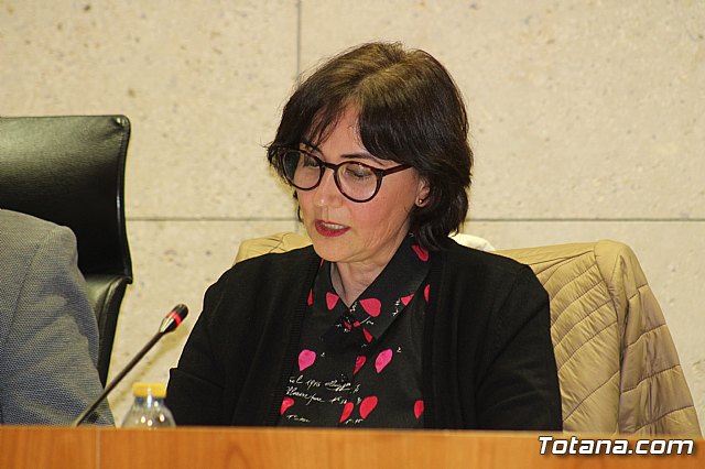 Pleno ordinario Diciembre 2018 - 13