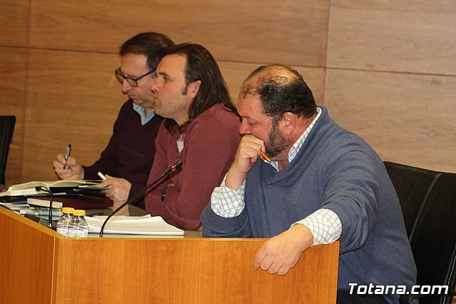 Pleno ordinario Diciembre 2018 - 18