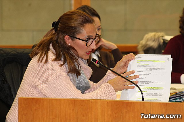 Pleno ordinario Diciembre 2018 - 29