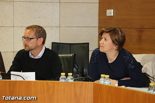 Pleno ordinario marzo 2016 - 7