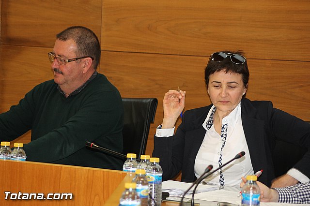 Pleno ordinario marzo 2016 - 8