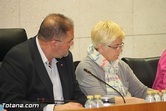 Pleno ordinario marzo 2016 - 11