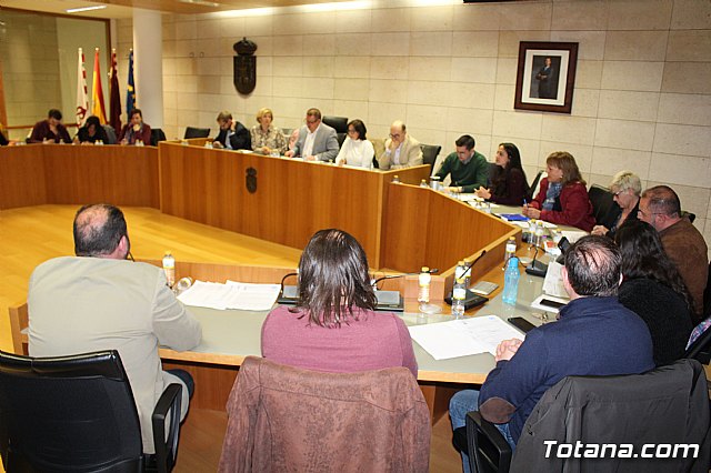 Pleno ordinario marzo 2019 - 2