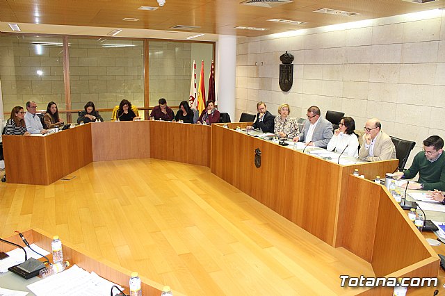 Pleno ordinario marzo 2019 - 3