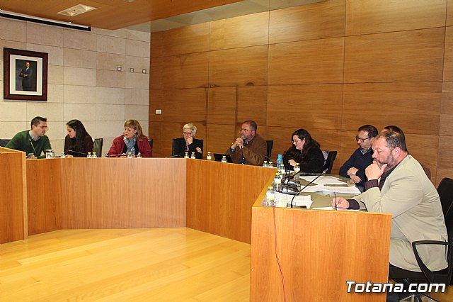 Pleno ordinario marzo 2019 - 8