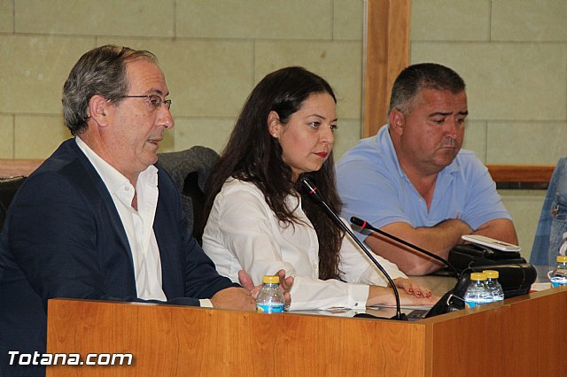 Pleno ordinario abril 2016 - 12 Pleno ordinario abril 2016 - 12
