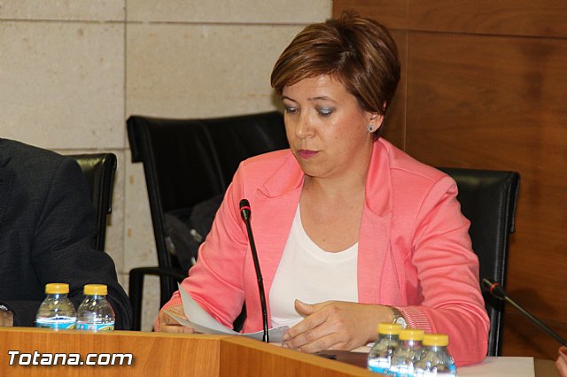 Pleno ordinario abril 2016 - 33