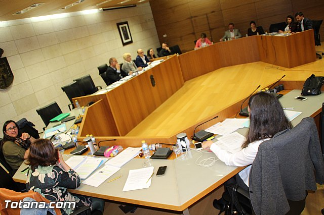 Pleno ordinario abril 2016 - 50