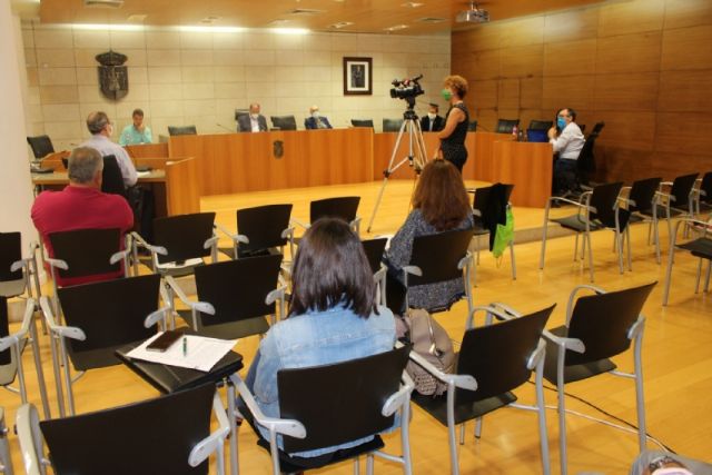 Pleno ordinario mayo 2020 - 1