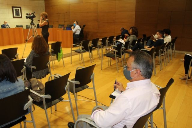 Pleno ordinario mayo 2020 - 2