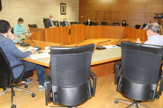 Pleno ordinario mayo 2020 - 3