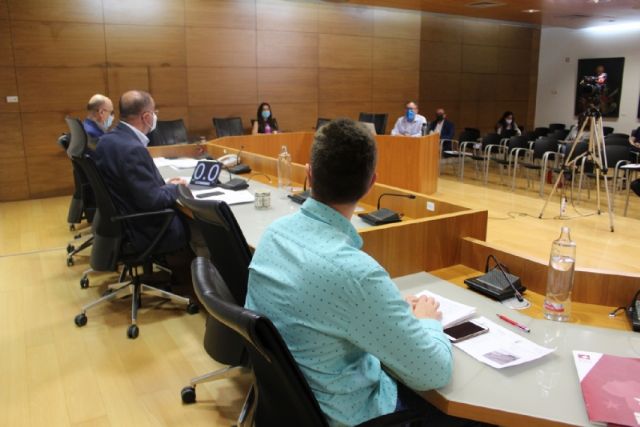 Pleno ordinario mayo 2020 - 5