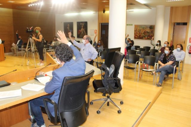 Pleno ordinario mayo 2020 - 7