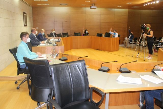 Pleno ordinario mayo 2020 - 8