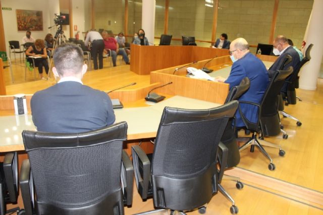 Pleno ordinario mayo 2020 - 9