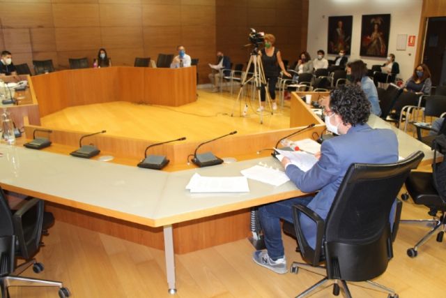 Pleno ordinario mayo 2020 - 11