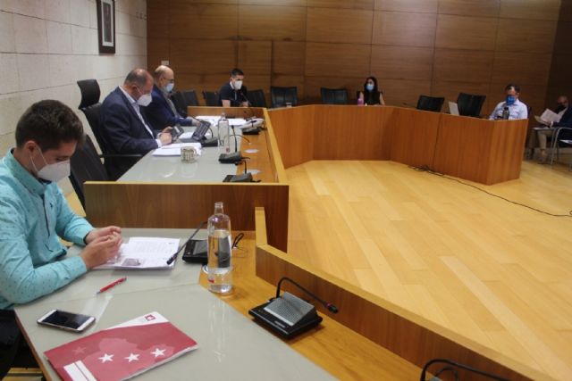 Pleno ordinario mayo 2020 - 12