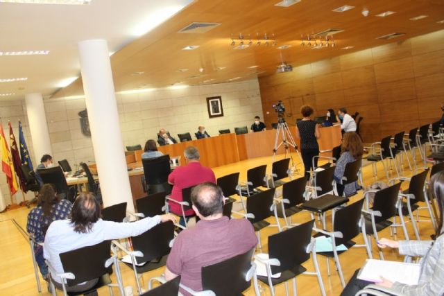 Pleno ordinario mayo 2020 - 13