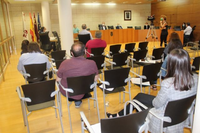 Pleno ordinario mayo 2020 - 15