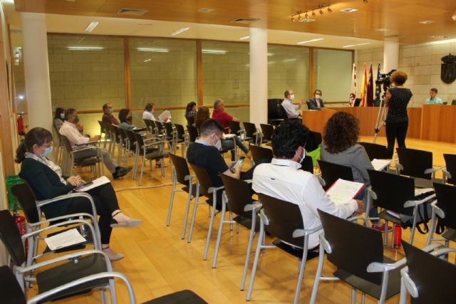 Pleno ordinario mayo 2020 - 17