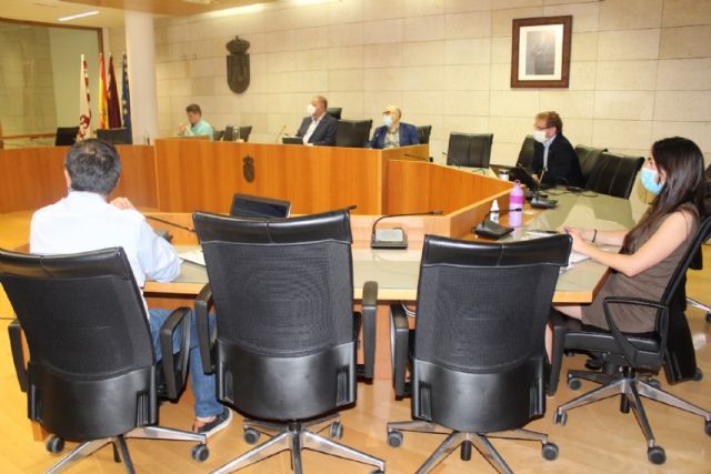 Pleno ordinario mayo 2020 - 19