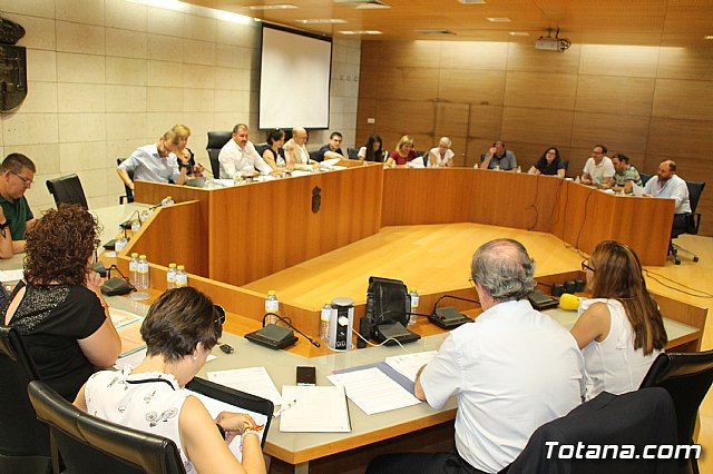 Pleno ordinario Junio 2018 - 7