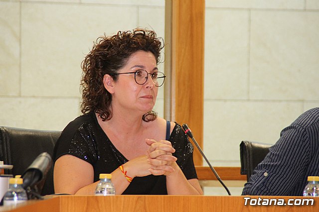 Pleno ordinario Junio 2018 - 15