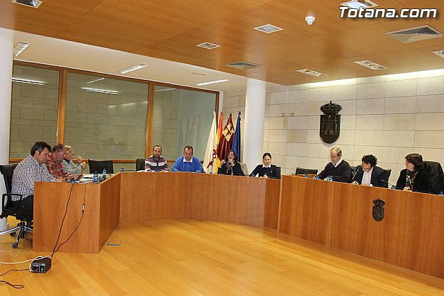 Pleno ordinario noviembre 2013 - 1