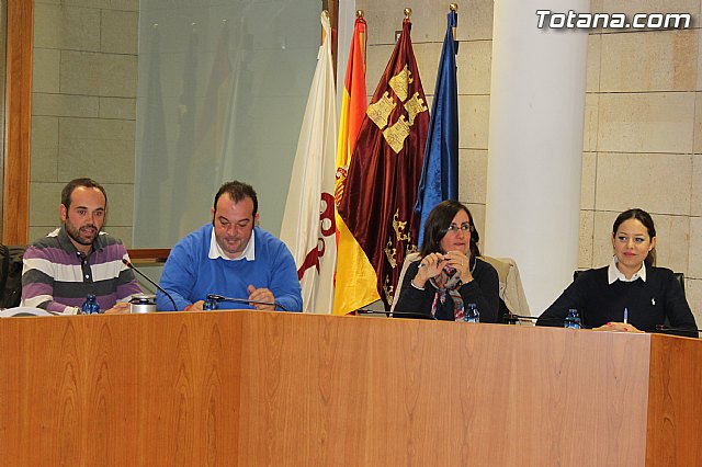 Pleno ordinario noviembre 2013 - 2