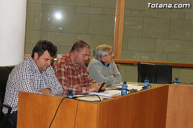 Pleno ordinario noviembre 2013 - 3