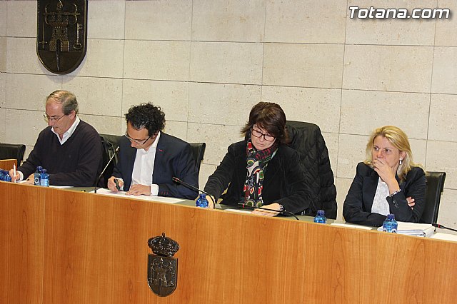 Pleno ordinario noviembre 2013 - 4