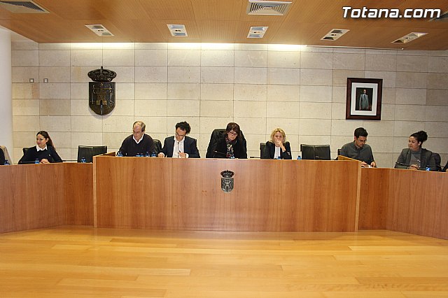 Pleno ordinario noviembre 2013 - 6