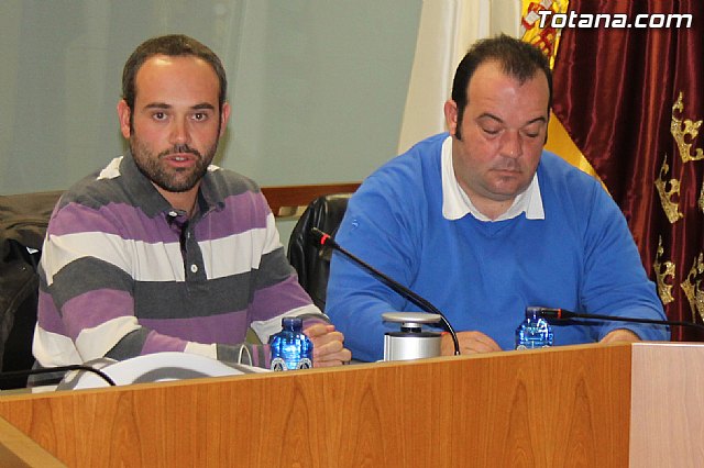 Pleno ordinario noviembre 2013 - 7