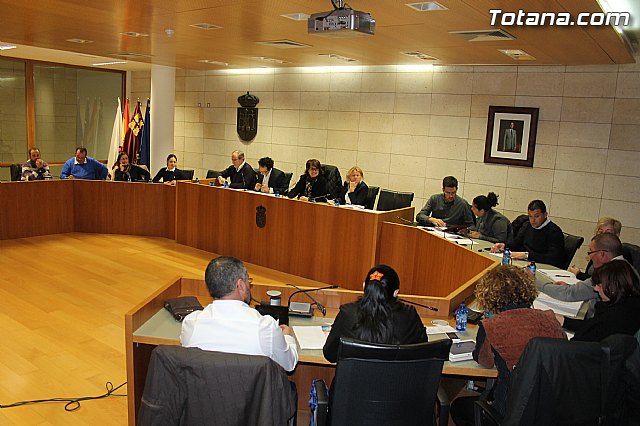 Pleno ordinario noviembre 2013 - 9