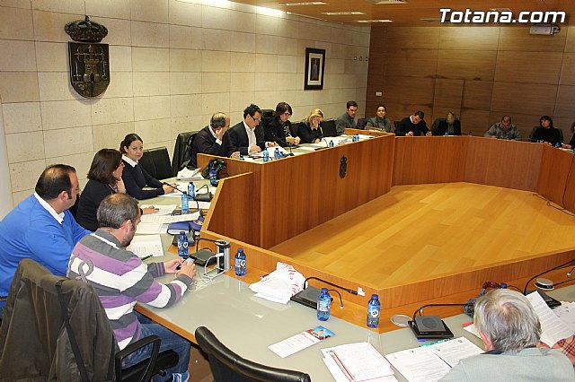 Pleno ordinario noviembre 2013 - 12