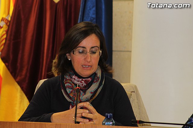 Pleno ordinario noviembre 2013 - 14