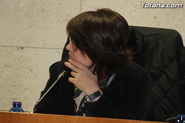 Pleno ordinario noviembre 2013 - 15